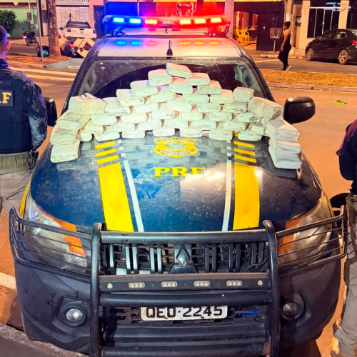 PRF apreende 53 kg de skunk escondidos em compartimento de veículo na BR-230, em Altamira