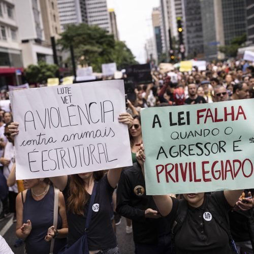 Bruno Santos/Folhapress