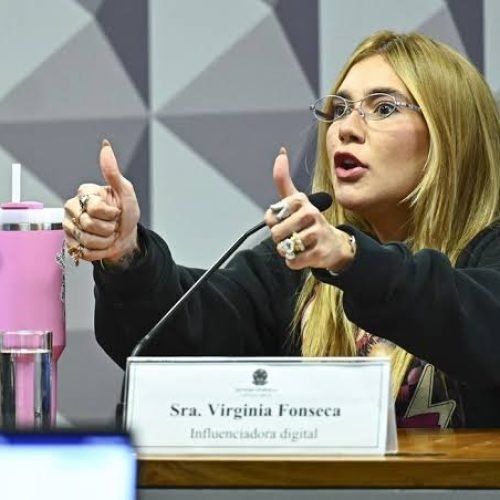 Virginia Fonseca: Notificação Judicial e o Caso Blaze